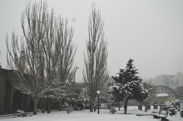 رخت سفید بر تن تبریز