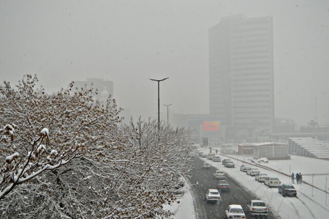 رخت سفید بر تن تبریز