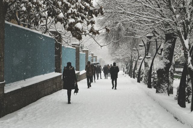 رخت سفید بر تن تبریز