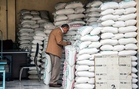 توزیع ۹۹۵ تن برنج به مناسبت ماه رمضان در لرستان