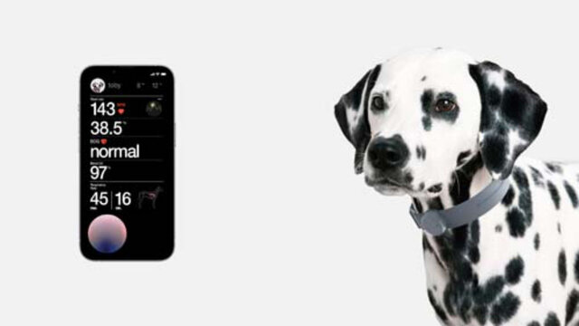 نگاهی به عجیبترین فناوریها در نمایشگاه CES