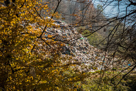 دپوی زباله در دل جنگلهای هیرکانی منطقه «چندلا»، در جاده «بهمنان» در شهر «زیراب» استان مازندران