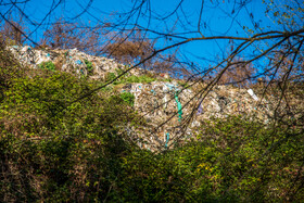 دفع غیر اصولی زباله در «زیراب» به مرور به درختان کهنِ منطقه و ریشههای آنها آسیبهای جبران ناپذیر وارد میکند.