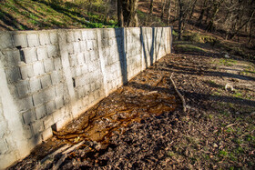 شیرابۀ زبالهها با میلیونها میکروب به خارج از محل دپو نشت کردهاند و به مرور به مناطق جنگلی «هیرکانی» وارد شدهاند.