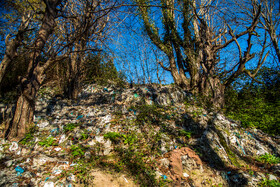 دفع غیر اصولی زباله در محل دفن زباله (لندفیل) «زیراب»، به مرور درختانِ این منطقه از جنگلهای هیرکانی را خشک میکند.