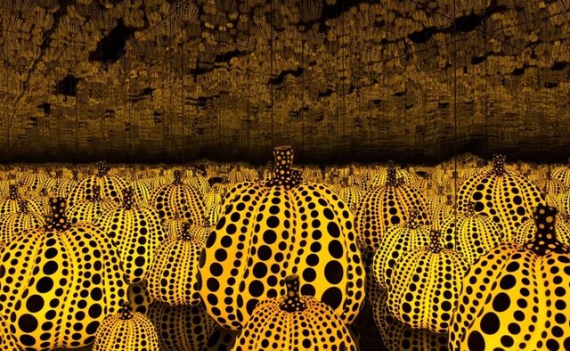 کدو تنبلهای خالخالی که مشهور شدند