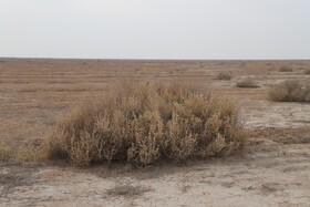 ۱۳۰ هزار هکتار از اراضی منابع طبیعی قزوین به محیط‌زیست سپرده شد