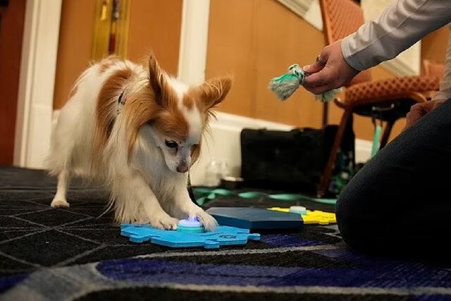 فناوریهای شگفتانگیزی که در «نمایشگاه CES ۲۰۲۳» ارائه شدند