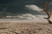 «خشکسالی فرهنگی»؛ بحران ناپیدای کم‌آبی در ایران/ضعف‌های مدیریتی را پشت واژه «تغییر اقلیم» پنهان می‌کنیم