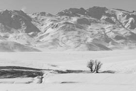 مزارع روستای خویگان سفلی در منطقه فریدن که با برف پوشیده است.