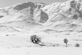 مزارع روستای خویگان سفلی در منطقه فریدن که با برف پوشیده است.