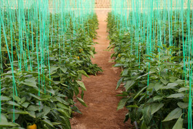 سفر وزیر کشور به استان یزد در قالب کاروان دولت سیزدهم