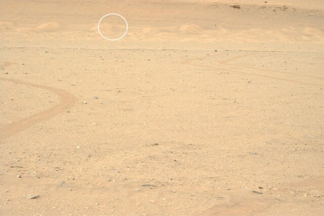 تصویر ثبت شده توسط «استقامت» از بالگرد «نبوغ» در مریخ