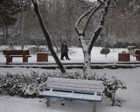 بارش برف در تهران - پارک قیطریه