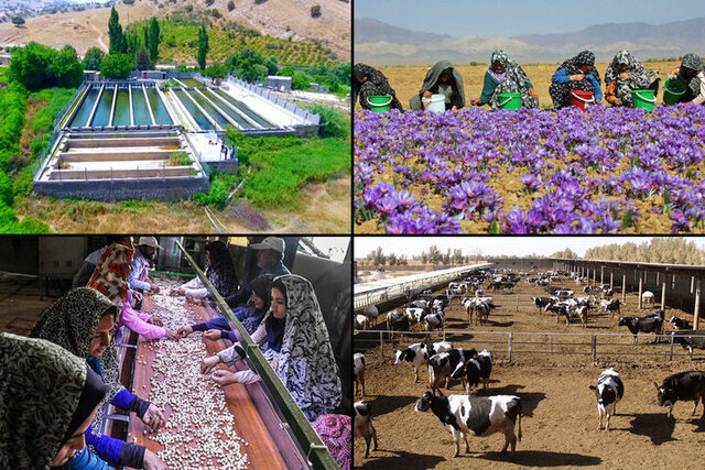 امکان ضمانت تسهیلات اشتغال روستایی فراهم شد امکان ضمانت تسهیلات اشتغال روستایی فراهم شد