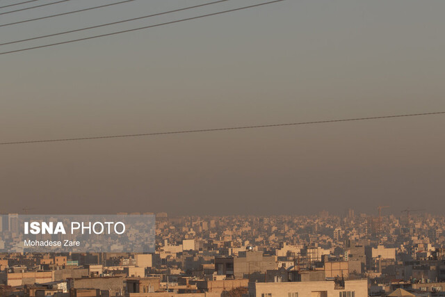 عکس تزیینی است. کاهش عوارض ناشی از آلودگی هوا با تغذیه مناسب / تسهیل دفع سُرب با مصرف سیب درختی