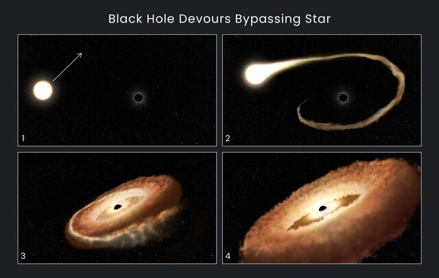 کشف سیاهچاله‌های گرسنه‌ای که در حال تبدیل یک ستاره به «دونات» است