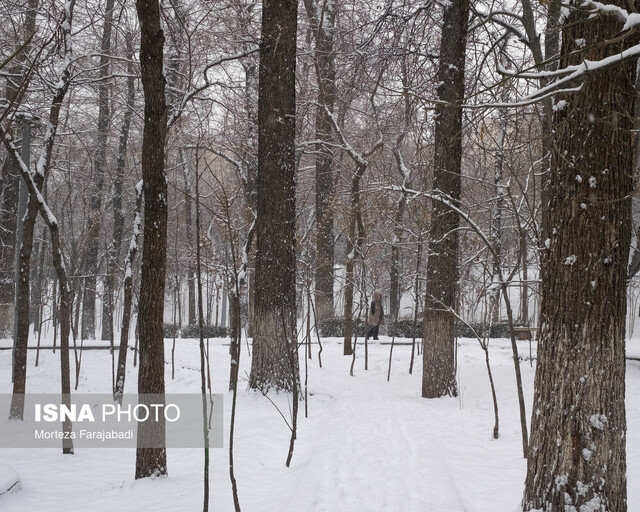 عکس تزئینی است آغاز بارش برف و باران در محورهای چهارمحال و بختیاری