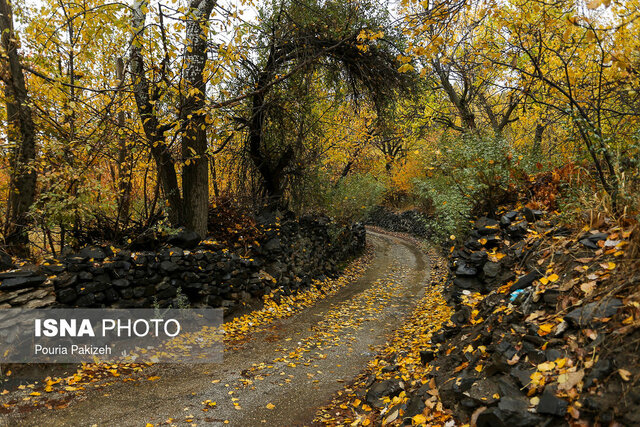 شناسنامهدار کردن باغات استان سمنان شناسنامهدار کردن باغات استان سمنان