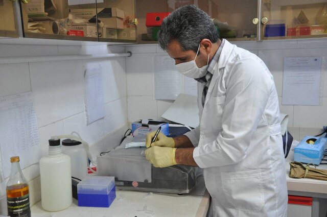 روند نمونهگیری «طاعون» از حیاتوحش / «تب Q»؛ معضل بهداشتی محسوب شود