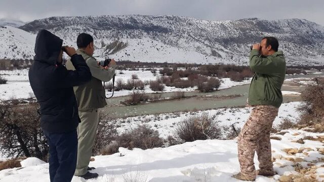 آغاز شمارش زمستانی پرندگان مهاجر در کهگیلویه و بویراحمد 