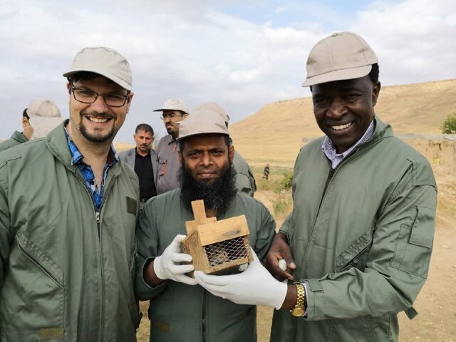 روند نمونهگیری «طاعون» از حیاتوحش / «تب Q»؛ معضل بهداشتی محسوب شود