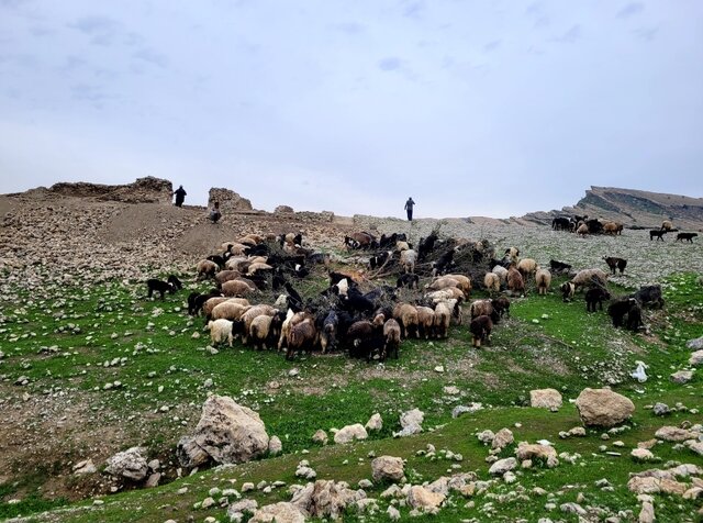 ماجرای کشف دو سکه خاتون ایرانی در پشت سد «چمشیر»