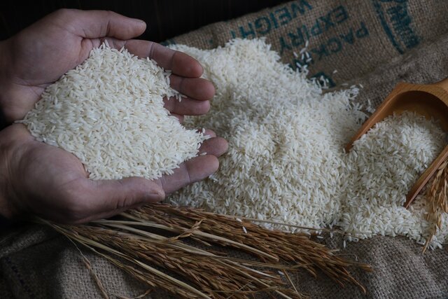 حواستان باشد، برنج خوب را بد نخرید!!!