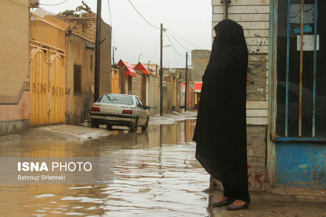 بارش بارانهای پراکنده در مناطق مرکزی و جنوبی استان بوشهر