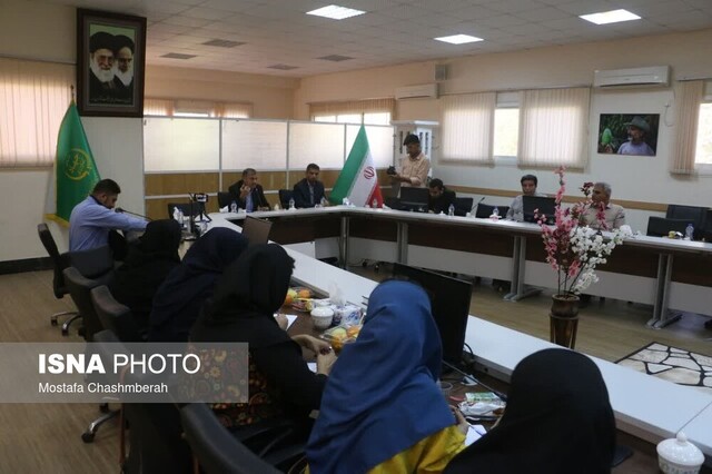 از گمشدن هواپیمای پیش خریداری شده تا اهدای ۶ میلیارد تومانی کارت هدیه