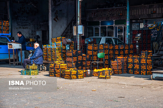 لزوم نظارت و آموزش به سورتینگداران مازندران