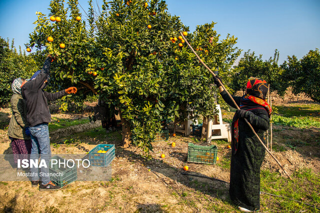 روایت توسعه مازندران در دولت سیزدهم