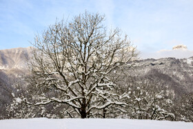 جشنواره عکس طبیعت زمستانی لیلاخ برگزار می شود 