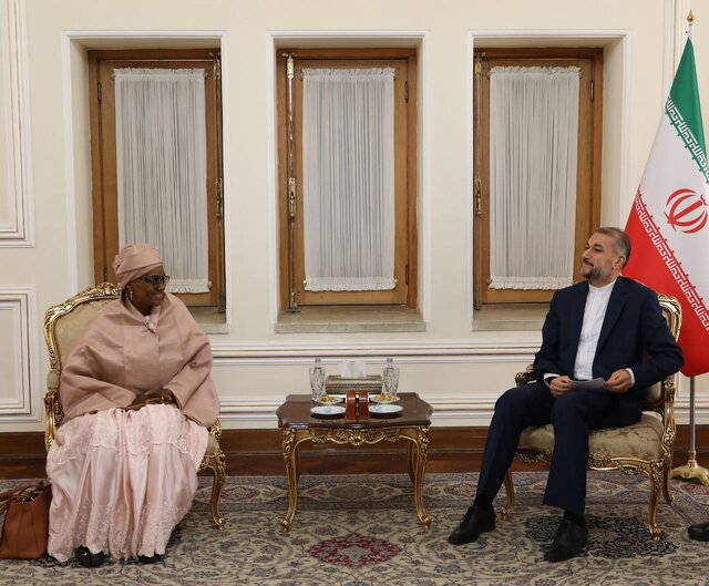 تاکید امیرعبداللهیان بر توسعه همکاریهای اقتصادی با قاره آقریقا