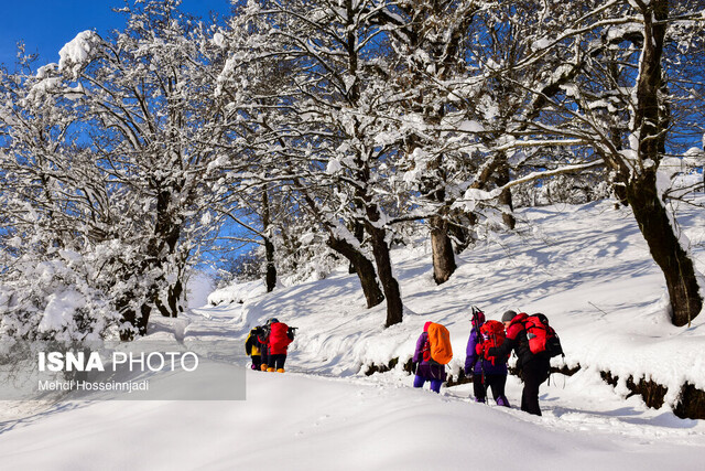 شال برفی بر تن آبشار لاتون - آستارا