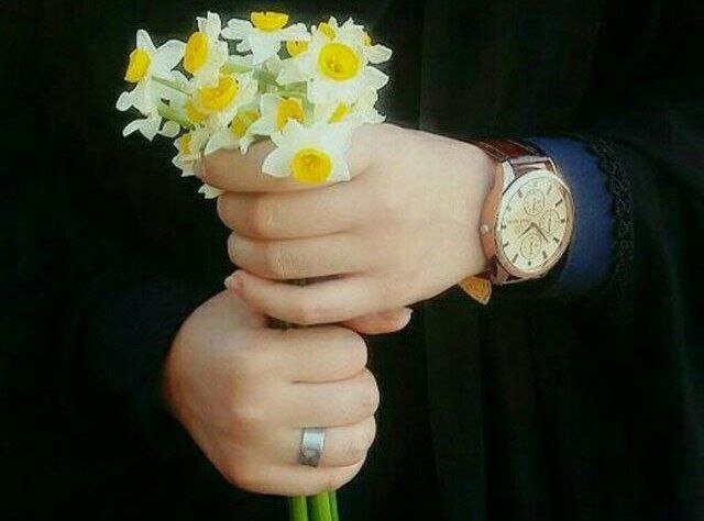 چرا گل نرگس برای ایرانیها اینقدر محبوب است؟