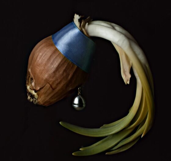 جای خالی دختری با گوشواره مروارید را با پیاز پر کردند!