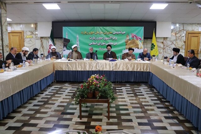 وعده مجلسیها برای حل مشکل هواپیما و کوتاه شدن حج