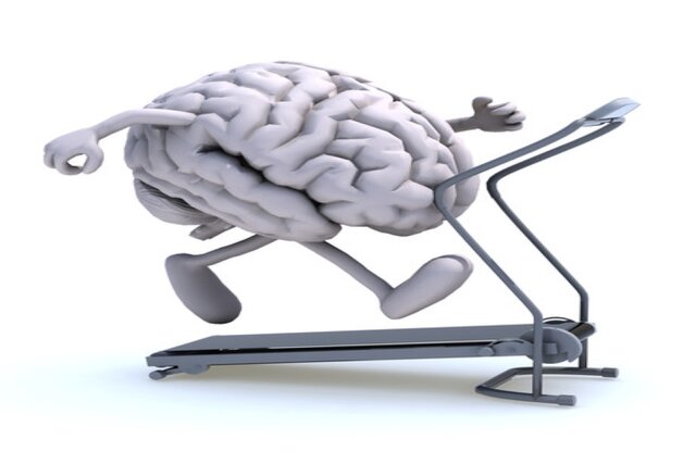 کمتحرکی عملکرد مغز را مختل میکند کمتحرکی عملکرد مغز را مختل میکند