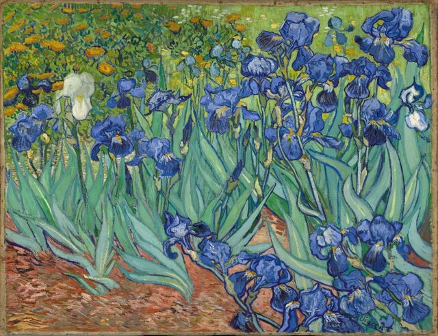 طبیعت را از نگاه «ونگوگ» تماشا کنید