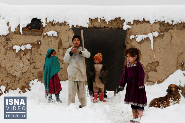 ویدیو/ سرما قاتل جدید افغانستانی‌ها