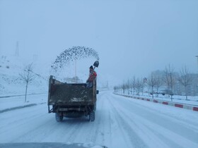 تمام معابر شهر سنندج برفروبی و نمک پاشی شد