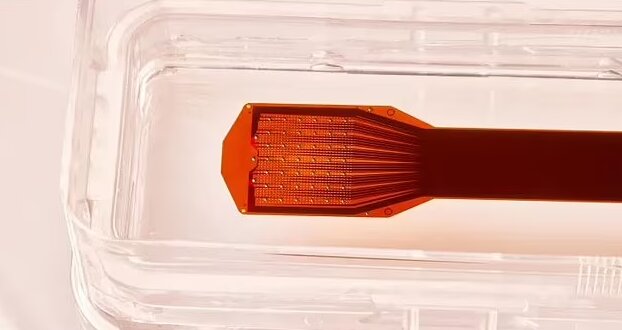 امکان استفاده از شبکههای اجتماعی با استفاده از ذهن برای بیماران فلج اندام