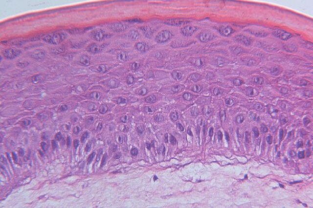 عکس تزئینی است طراحی پوست مصنوعی که رنگ و بافت خود را در مقیاس نانو تغییر میدهد