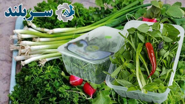بسته بندی سبزی