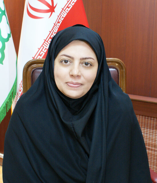 لزوم سخت گیرانه تر شدن تست ترمز وانتهای باری/ حدود مجاز آلایندگی خودروی تهرانیها تغییر کند