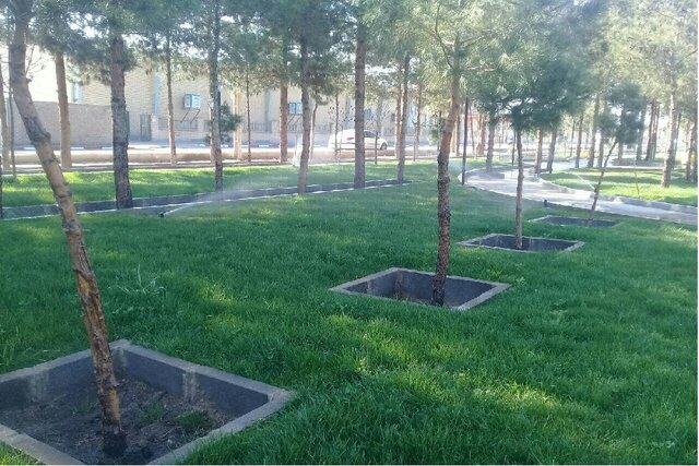 عکس خبر تزیینی است معرفی مدیریت فضای سبز شهر قم بهعنوان مدل حکمرانی فضای سبز در کشور