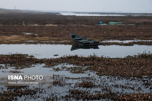 حس عجیب تماشای یک عکس از سردیس سیروس قایقران