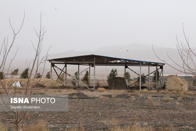 بازدید رئیس جهاددانشگاهی کشور از مجتمع گیاهان دارویی خراسان جنوبی