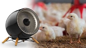 طراحی سیستم‌های گرمایشی در سالن‌های پرورش طیور